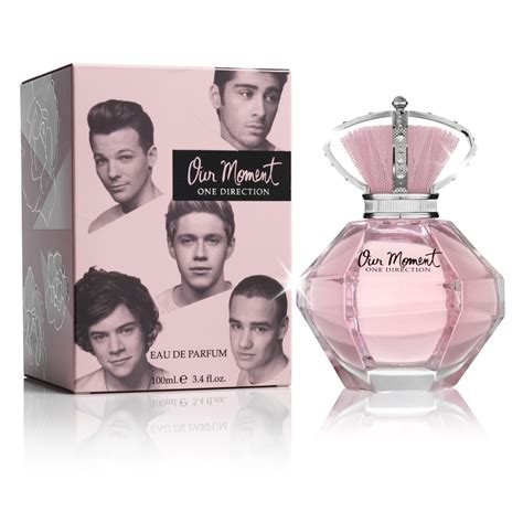 you and i one direction perfume|that moment one direction.